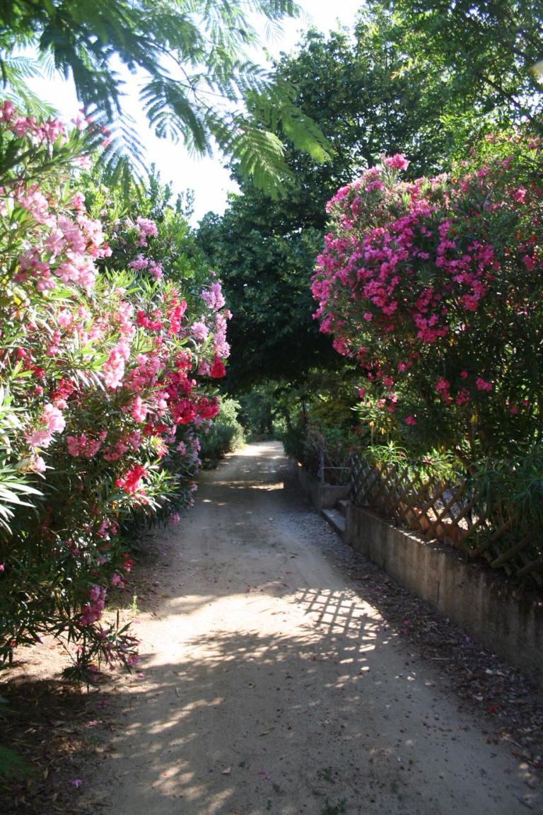 Costa Di Sognu Villa Exterior foto