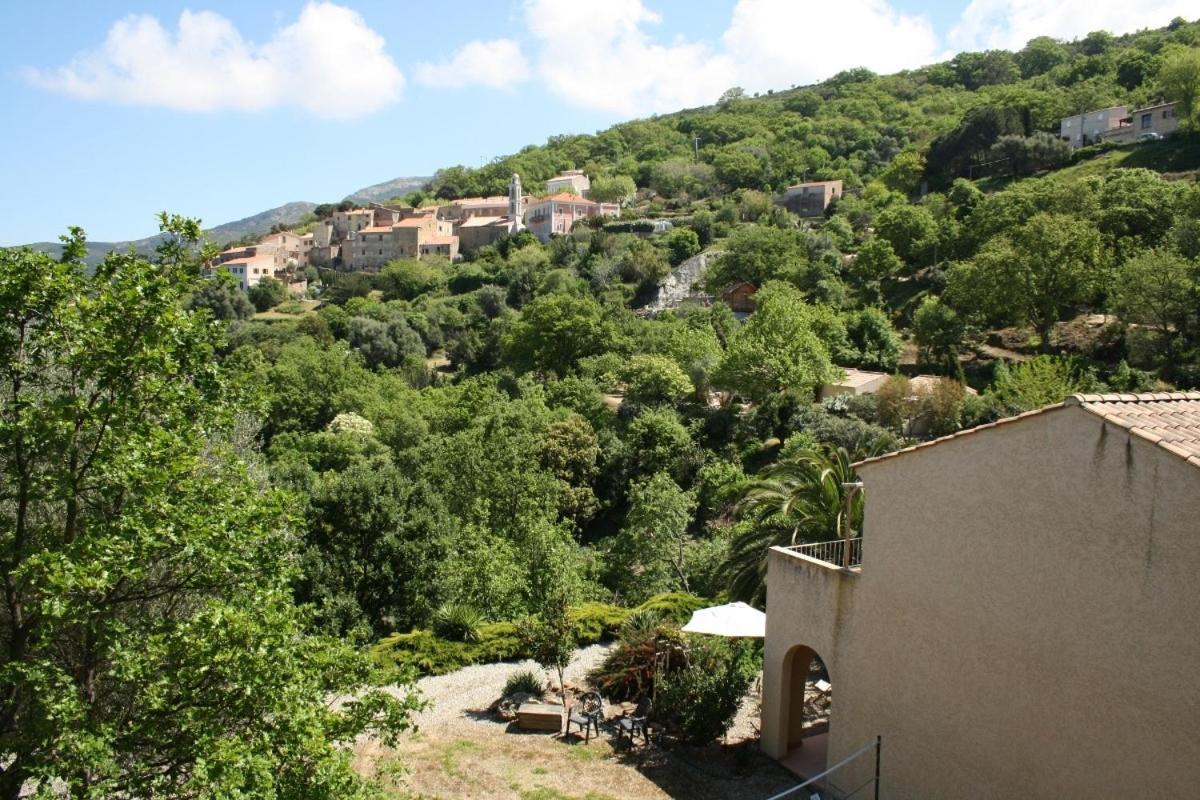 Costa Di Sognu Villa Cameră foto